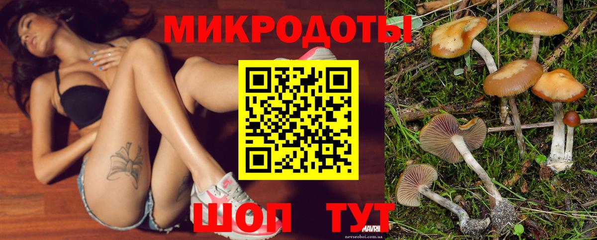 Псилоцибиновые грибы ЛСД  как найти наркотики  Борзя  Вход с VPN 