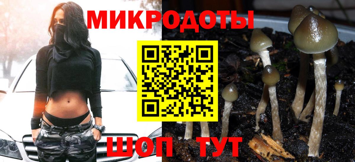 Псилоцибиновые грибы Psilocybe Борзя